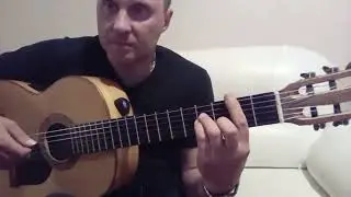 ДЕЛЬФИН.612. Вступление. Разбор на Гитаре 