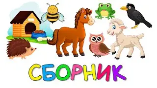 Учим животных Сборник Монтессори Угадай Домики Как говорят Животные Развивающие мультики для детей