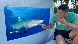 *NEW* Pet JAWS Pond for predator Fish!!