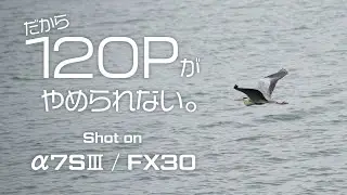 【 α7SⅢ / FX30 】120P撮影って必要？20%スローだから表現できる景色。
