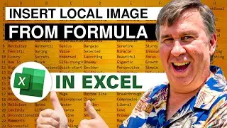 Excel Place Local Pictures In Cell Using Formula and a VBA Hack - Episode 2607a