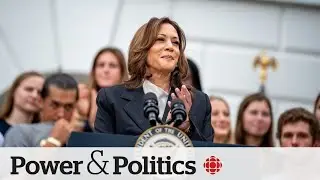 The risk for Democrats in choosing Kamala Harris as their nominee | Power & Politics