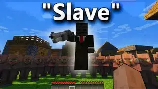 POV: your a villager in a Grox video…