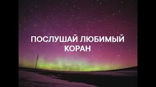 Любимый Коран. Сура 38  аяты 27 - 32