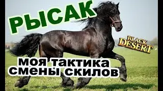 Black Desert (MMORPG - ИГРЫ) 🏇 Как сделать рысака ♻ Моя тактика ролл скилов в BDO