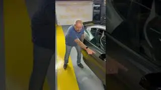 Сколько кобр можно найти в Ford Shelby GT500? Мы знаем, Вам очень интересен этот автомобиль. Шелби