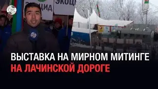 Экоактивисты показали фотографии уничтоженной природы Карабаха