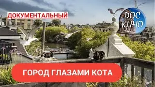 🎭ГОРОД ГЛАЗАМИ КОТА🌎 ДОКУМЕНТАЛЬНОЕ КИНО 🎆 2005