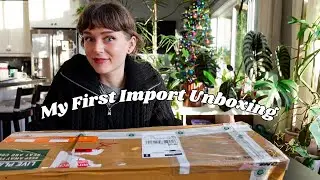 my new variegated houseplants from indonesia 🌿  unboxing, setup for recovery, & mini update!