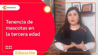 Los beneficios de las mascotas en las personas mayores | Compensar