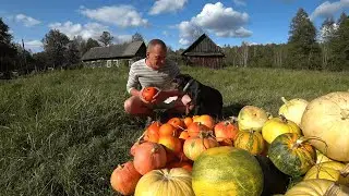 БРОСИЛ ГОРОД РАДИ ЖИЗНИ на ХУТОРЕ. ВО ЧТО ЭТО ВЫЛИЛОСЬ.№278