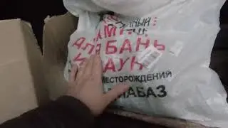 ПОСЫЛКА С КАМНЯМИ
