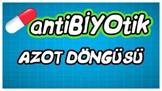 antiBİYOtik / TYT Azot Döngüsü / TYT Biyoloji
