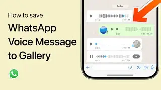 How To Save WhatsApp Voice Message to Gallery