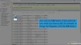 How to edit a database table via phpMyAdmin in cPanel with CloudSpace