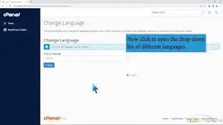 How to change the language in cPanel with CloudSpace