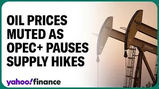 Oil prices unmoved by OPEC+ production pause. Two reasons why