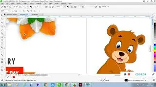 Corel draw Zoom Tool Shortcut & use