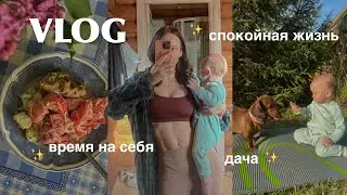 vlog: спокойная жизнь, время на себя, дача 🌿