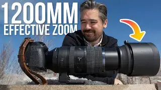 The LONGEST Ever Zoom for Micro Four Thirds! | M.Zuiko Digital ED 150-600mm f/5.0-6.3 IS Lens Review