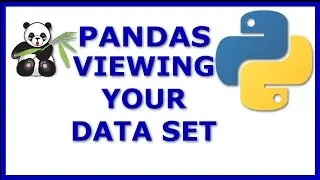 Python Pandas Tutorial: Viewing Data, Sorting, Transposing, Summary Statistics, Columns, and Indices