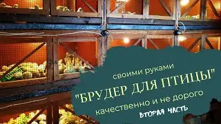 Брудер для цыплят| Как сделать отличный и дешевый брудер? | Часть 2