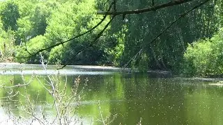 белгородщина урочища белгородской области