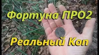 Реальный коп с прибором Фортуна ПРО2