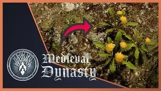 ЗЕЛЬЕ ОТРЕЗВЛЕНИЯ ▶️ MEDIEVAL DYNASTY #28 Survival Game