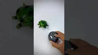 Remote Control Turtle 🐢 Unboxing