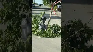 Новосибирские дороги😂