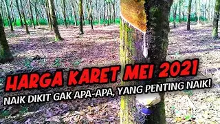 HARGA KARET BULAN INI! 04/05/2021