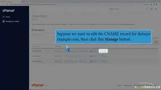 How to edit or delete CNAME Record in cPanel using the DNS Zone Editor with CloudSpace