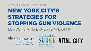 NYC's Strategies to Stop Gun Violence: Leaders + Experts Weigh In