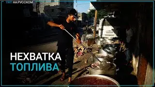 Палестинцы готовят на дровах из-за нехватки топлива и газа