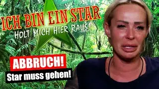 Dschungelcamp 2024: ABBRUCH! TOTALAUSFALL bei RTL!
