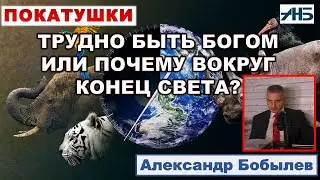 ВСЕ ИДЕТ ПО ПЛАНУ? Александр Бобылев