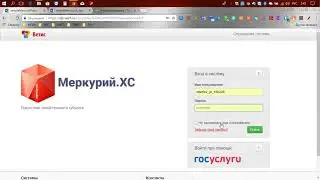 Оформление заявок на регистрацию в системе Меркурий ХС, гашение и оформление возвратных ВСД