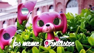 lps meme: Fantasize