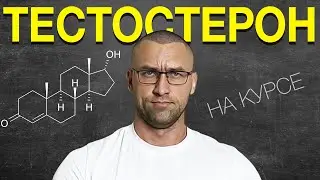 Тестостерон (Дозировки, Чувствительность, Эстрадиол, Соотношения)