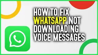 How To Fix WhatsApp App Not Downloading Voice Messages