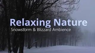 Blizzard Snowstorm & Howling Wind Sounds for Sleeping and Relaxing | Winter Ambience | 10 Hours❄🥶