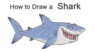 How to Draw a Shark (Cartoon)