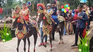 Naik Kuda Renggong joget - Dancing horse - Kuda Hias -Kuda delman - Kuda istimewa