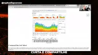 NETFLOW - Filtros anti DDoS no NFsen
