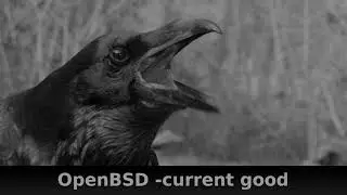 OpenBSD: Switching to -current is Easy