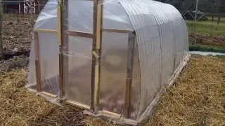 Cattle Panel Greenhouse - Design and Build