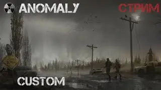 S.T.A.L.K.E.R Anomaly CUSTOM Серия 9 Погиб и сгорел морально =)