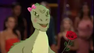 The Bachelaur