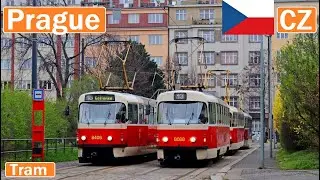 PRAGUE TRAMS / Tramvaje v Praze 2024 [4K]